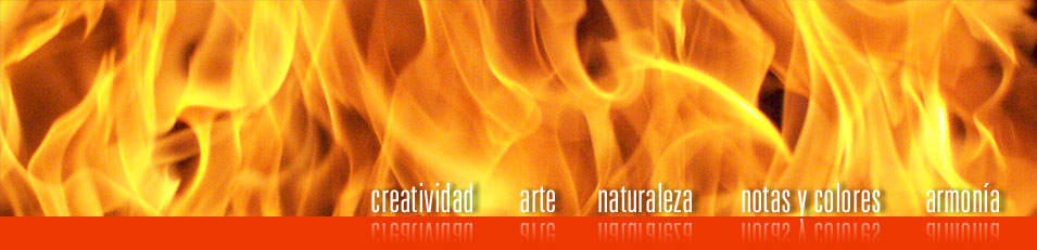 creatividad, arte, naturaleza, notas y colores, armonía
