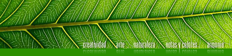 creatividad, arte, naturaleza, notas y colores, armonía