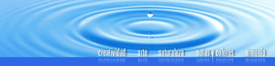creatividad, arte, naturaleza, notas y colores, armonía
