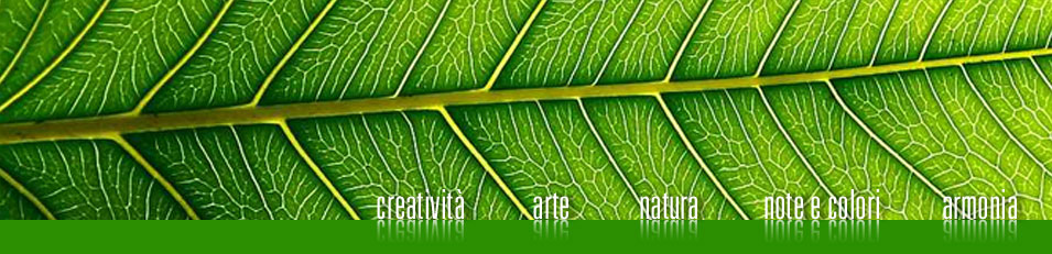 creatività, arte, natura, note e colori, armonia